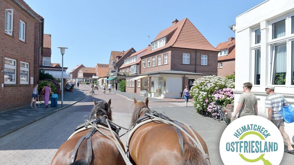 Juist: Eine Pferdekutsche fährt durch die Straßen der Nordseeinsel. Das Wohl der Urlauber steht auf den Inseln im Mittelpunkt. In einigen Bereichen profitieren davon natürlich auch die Einheimischen. Foto: Carmen Jaspersen/dpa