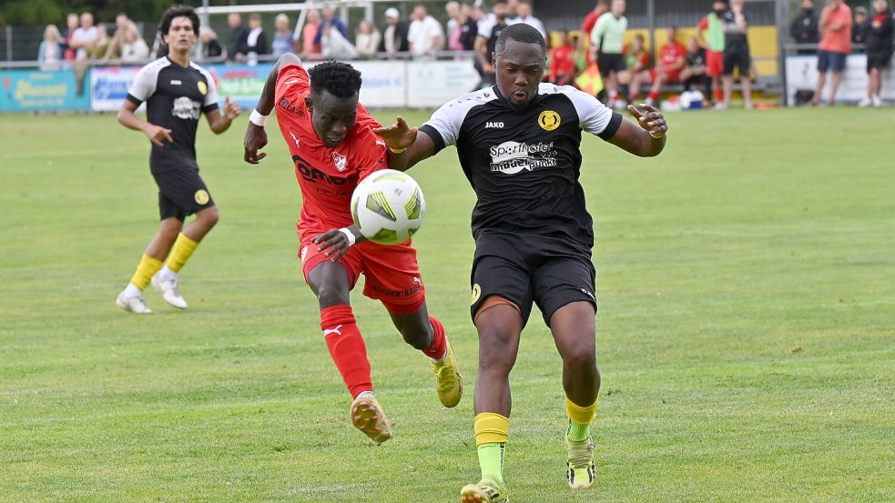 Marco Mouzong (rechts) wird künftig wieder mit Moustapha Camara (links) zusammen in Aurich spielen. Foto: Steenhoff