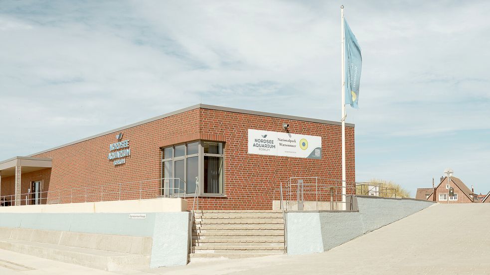Eine Touristen-Attraktion auf Borkum: das Nordsee Aquarium. Foto: Marc Oliver Basan