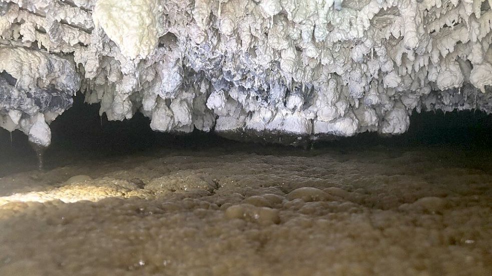 So sieht es aus in der Biogasanlage: Unten blubbert die Gülle, oben setzt sich elementarer Schwefel ab. Foto: Rilana Kubassa