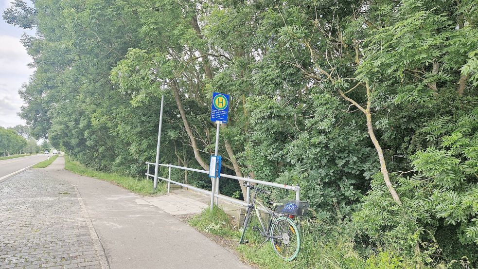 Bis die neue Bushaltestelle, die 250 Meter in Richtung Ziegeleistraße gebaut wird, fertig ist, müssen die Schüler bei schlechtem Wetter ohne Wartehäuschen auskommen. Foto: Tatjana Gettkowski