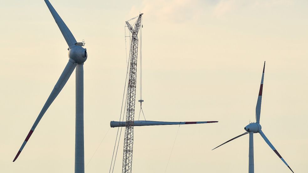 Beim sogenannten Repowering werden kleinere und ältere Windkraftanlagen durch neuere und meist höhere Anlagen ersetzt. Das ist auch in der Krummhörn geplant. Symbolbild: Patrick Pleul/dpa
