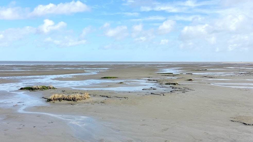 Es gibt verschiedene Arten von Watt: Das Sandwatt ist besonders angenehm zu begehen. Foto: Melanie Hanz