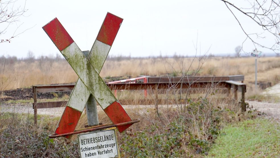 Blick in die Esterweger Dose: Ist das Gebiet in Niedersachsen Tatort eines Umweltskandals? Foto: Mirco Moormann