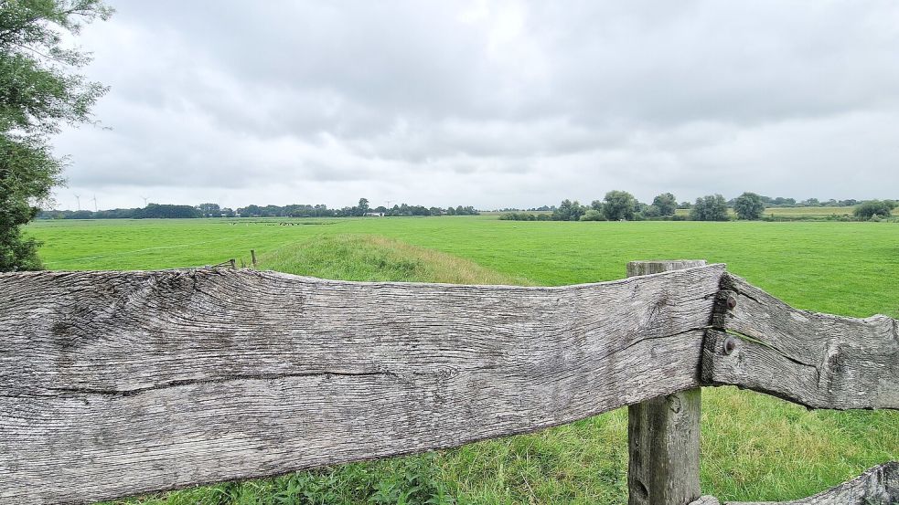 Die weite Landschaft, die Kutterhäfen, die kleinen Dörfer und vor allem die Ruhe schätzen Catharina und Stefan Johansson am meisten an Ostfriesland. Foto: Tatjana Gettkowski