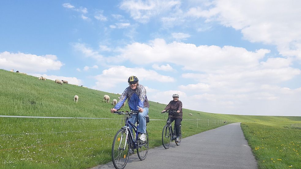 Die gut ausgebauten Fahrradwege am Deich gefallen den Kurzurlaubern aus dem Emsland bei ihren ostfriesischen Nachbarn am besten. Foto: Tatjana Gettkowski/Archiv
