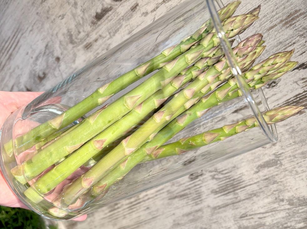 Vom grünen Spargel die Enden knapp abschneiden, dann die Standen in eine Vase geben, mit etwas Wasser drin: So hält sich das Gemüse recht gut. Den Tipp habe ich von einem Food-Influencer. Hat sich bewährt. Foto: Leonhard