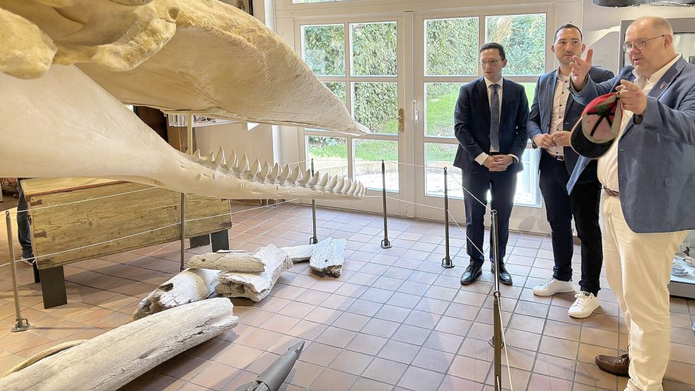 Das Walskelett durfte bei der Museumsführung mit Minister Falko Mohrs (links), dem SPD-Landtagsabgeordneten Nico Bloem und Markus Stanggassinger natürlich nicht fehlen. Foto: Florian Ferber