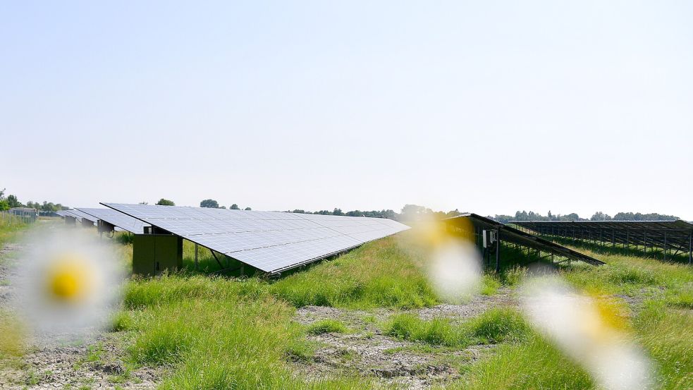 In Hinte befindet sich bereits ein Solarpark am Gewerbegebiet. Ein weiterer ist bei Westerhusen in Planung. Foto: Heinz Wagenaar/Archiv
