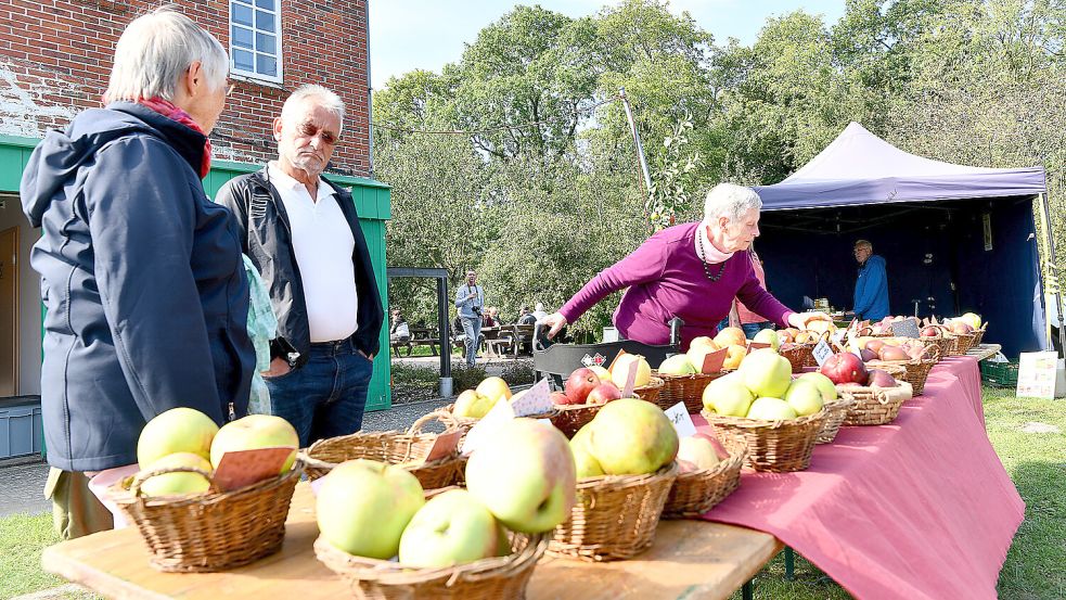 Am Sonntag steht beim Oldersumer Herbst wieder der Apfel im Vordergrund. Foto: Melchert Stromann/Archiv