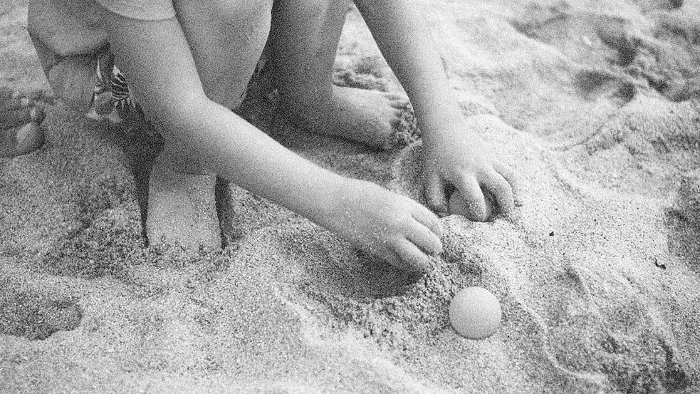 Die Insel Föhr war ein Hauptziel für Kinderverschickungen. Eine Karte zeigt nun erstmals die Heime. Foto: Unsplash