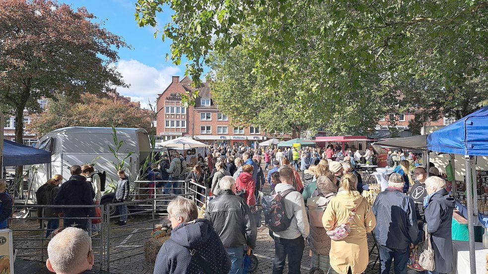 Im vergangenen Jahr war beim Erntefest im Stadtgarten einiges los. Am Sonnabend, 27. September, findet die diesjährige Auflage statt, allerdings auf dem Neuen Markt. Foto: privat