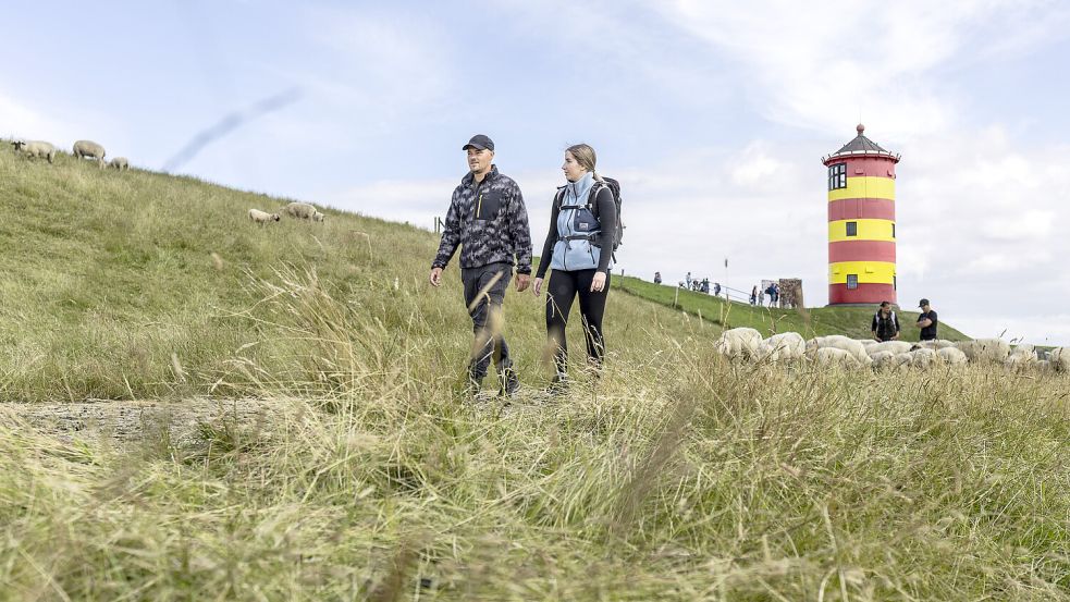 Im herbstlichen Ostfriesland lässt es sich schön wandern. Zum Beispiel entlang der Deiche in der Krummhörn. Foto: Tourismus-Agentur Nordsee GmbH