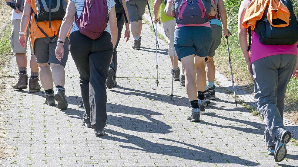 Ob in der Gruppe bei einer geführten Wanderung, allein mit Hund oder mit der Familie: Bei den Tourenvorschlägen zu den Nordseewandertagen gibt es für jeden Geschmack die richte Wanderung. Symbolfoto: Bernd Weißbrod/dpa