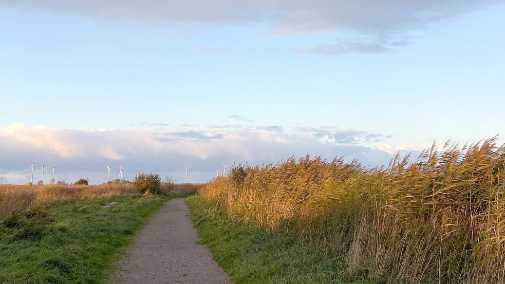 Einheimische und Urlauber sollen bei den Nordseewandertagen zu Fuß die landschaftliche Vielfalt der niedersächsischen Nordseeküste entdecken.Foto: Melanie Hanz