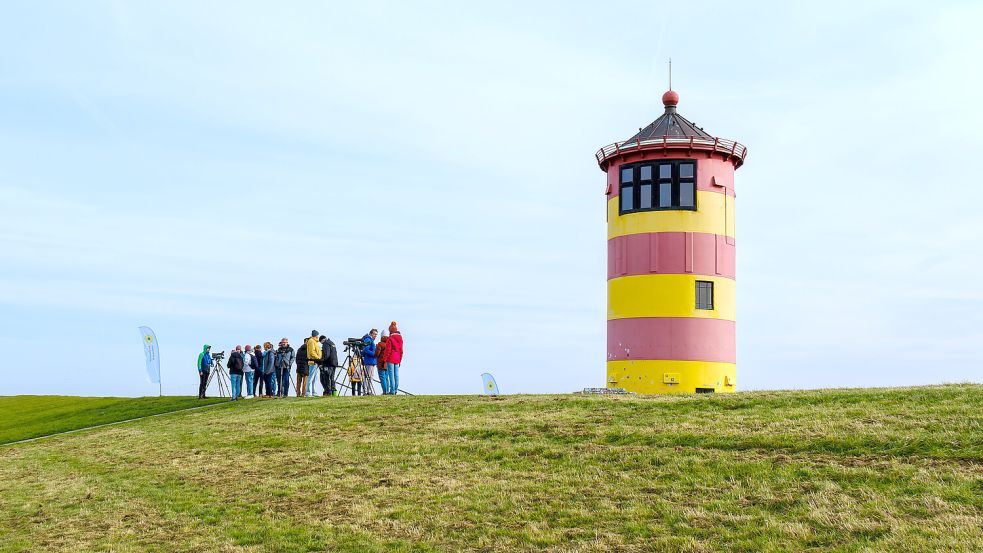 Bei den Zugvogeltagen gibt es in ganz Ostfriesland Programm rund um den Vogelzug. Foto: Wolfgang Strecker/NLPV