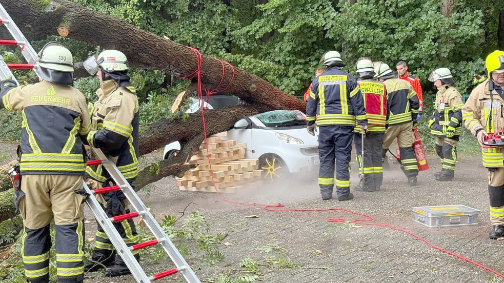 Der Baum traf den Wagen auf Höhe der Sitze. Foto: Feuerwehr