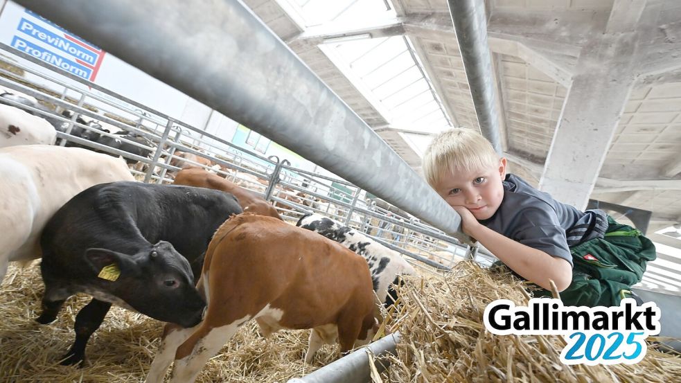 Joost, 5 Jahre, aus Wiesmoor ist das erste Mal auf dem Gallimarkt. Foto: Klaus Ortgies