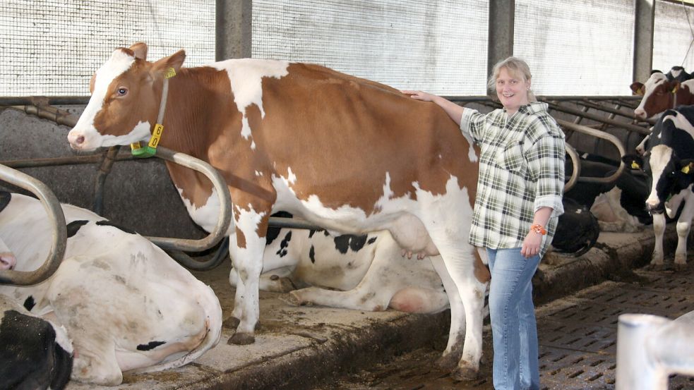 Christiane Gromöller kann vielen Rindern und Schweinen mit naturheilkundlichen Therapien wieder auf die Beine helfen. Foto: Privat