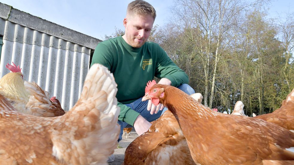 Noch dürfen die Hühner der Erzeugergemeinschaft Auricher Eier draußen scharren. Doch Volker Posselt schaut genau wie alle anderen Hühnerhalter in Ostfriesland besorgt auf die Ausbreitung der Vogelgrippe. Foto: Ortgies/Archiv