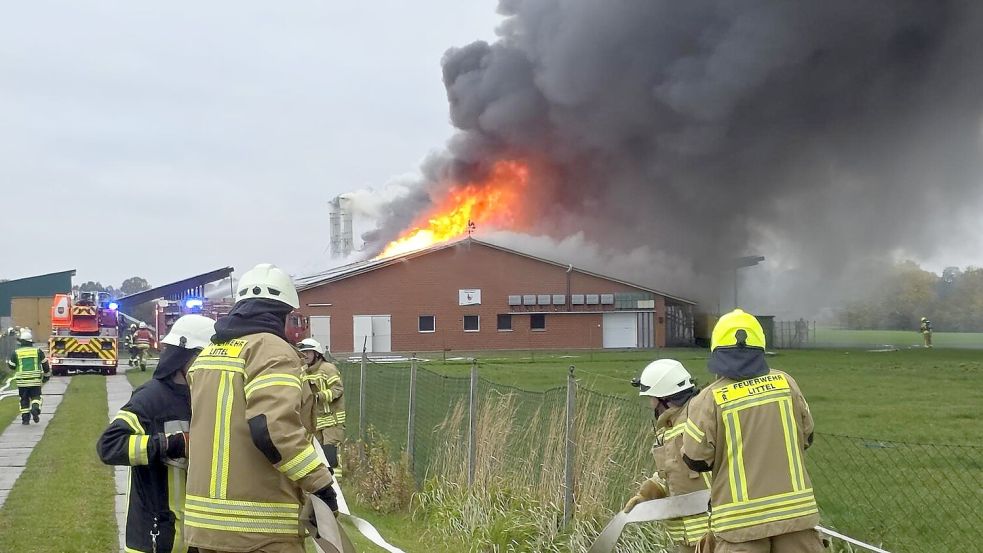 Als die Einsatzkräfte eintrafen, schlugen bereits erste Flammen durch das Dach des Geflügelbetriebs. Foto: NWM-TV