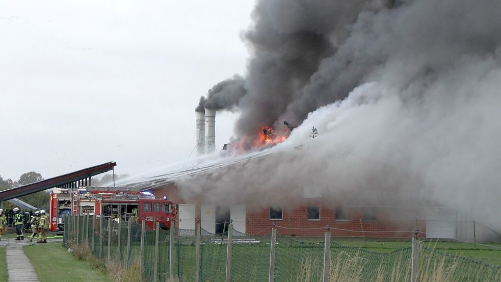 Großeinsatz für die Feuerwehr in der Gemeinde Wardenburg: In einem Geflügelstall war ein Feuer ausgebrochen. Die Polizei hat die Brandursache bekanntgegeben. Foto: NWM-TV