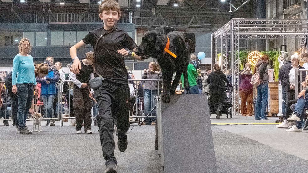 Bei der Messe „Mein Tier“ in Oldenburg gibt es nicht nur Messestände, sondern auch Vorführungen. Foto: Stueber/Veranstalter