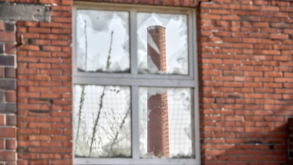 Auf dem Gelände der ehemaligen Ziegelei Reins soll die Ziegelstadt entstehen. Foto: Klaus Ortgies/Archiv