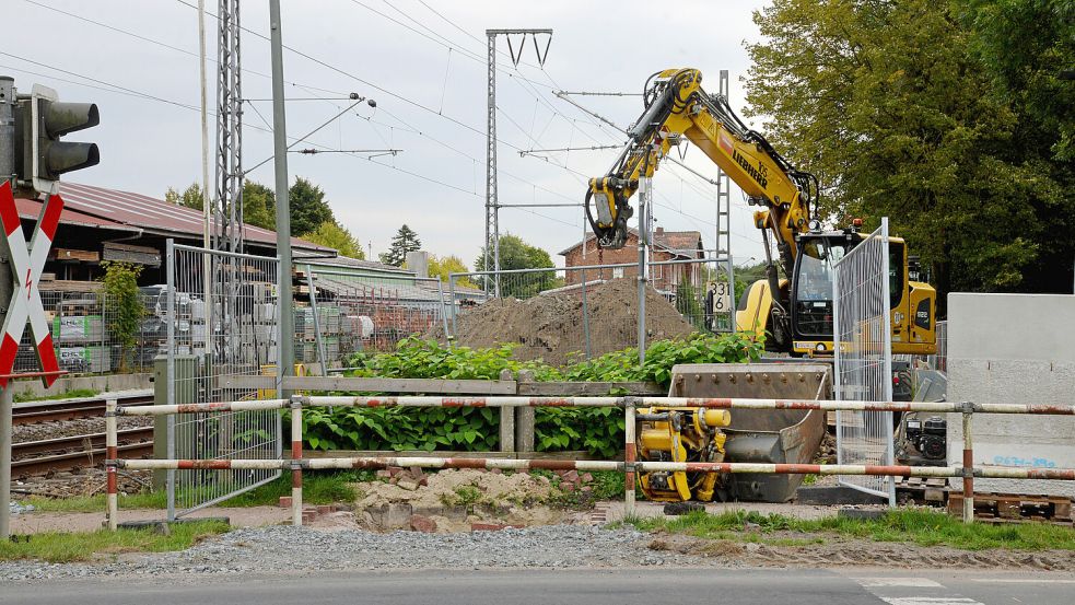 Die neuen Bahnsteige in Neermoor werden erst später fertig. Die Verzögerung erklärt eine Sprecherin der Bahn unter anderem mit Problemen durch den invasiven Staudenknöterich (im Bild vor dem Bagger zu sehen), der sich an der Stelle ausgebreitet habe. Foto: Karin Lüppen/Archiv