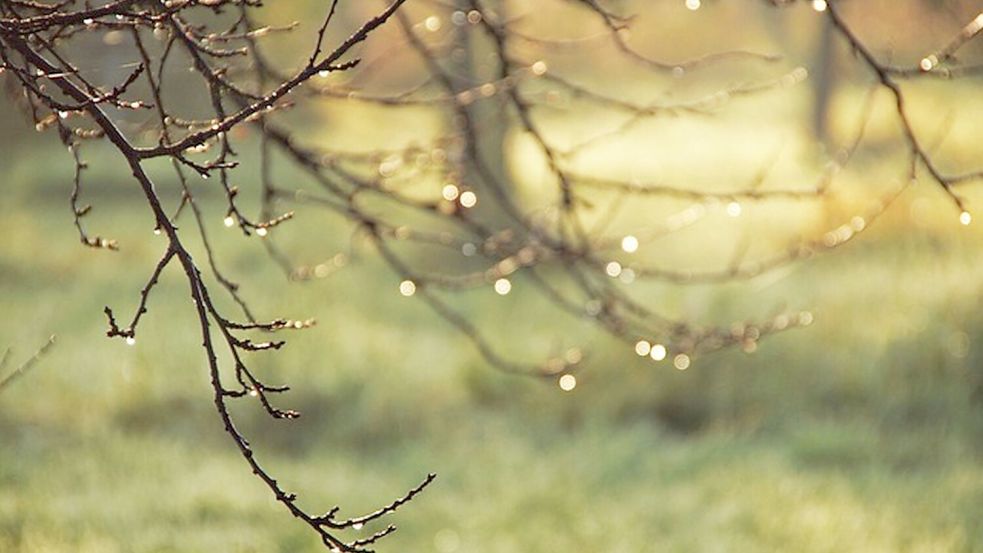 Das Wochenende in Ostfriesland wird nass. Symbolfoto: Pixabay