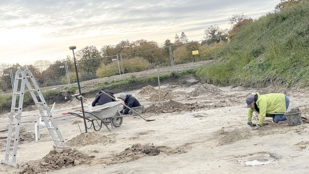 Im Hintergrund wird anhand des angrenzenden Ackers der Höhenunterschied deutlich. Foto: Susanne Ullrich
