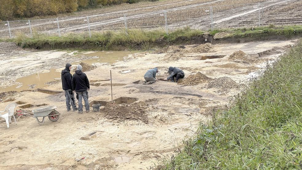 Für die Grabung wird zunächst mit dem Bagger die obere Bodenschicht abgetragen. Somit liegt das Feld niedriger als die Umgebung – und läuft bei Regen regelmäßig voll. Foto: Susanne Ullrich