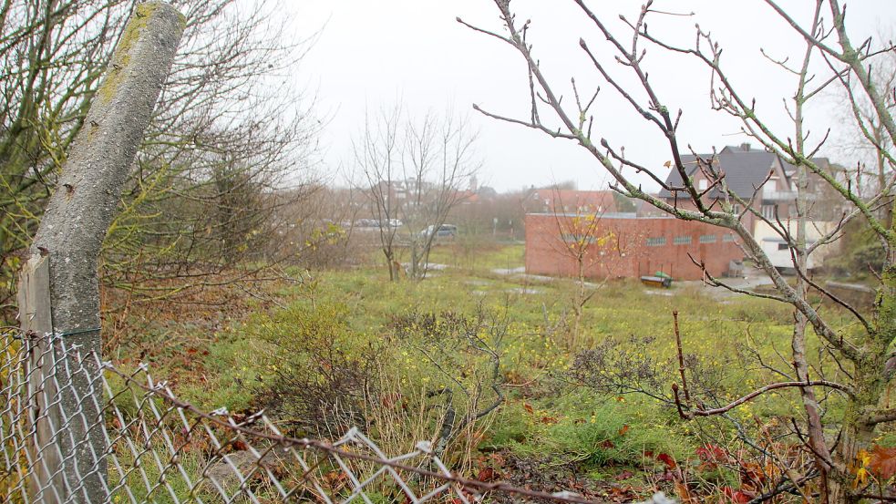 Bei Regenwetter sieht das Grundstück noch trostloser aus. Foto: Florian Ferber