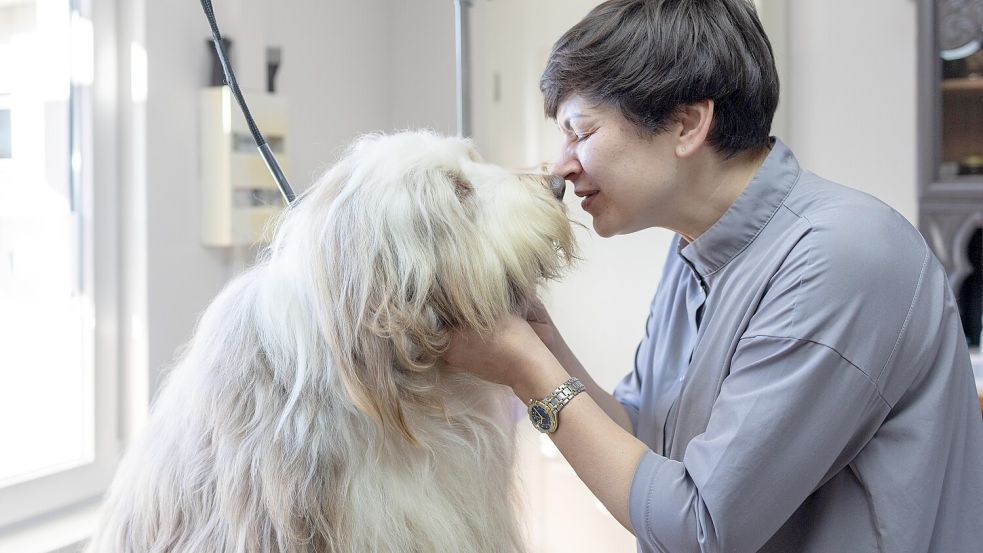 Echte Zuneigung: Olga Privalova schmust mit einer Klientin, der Bearded-Collie-Hündin Fietje. Foto: André Havergo