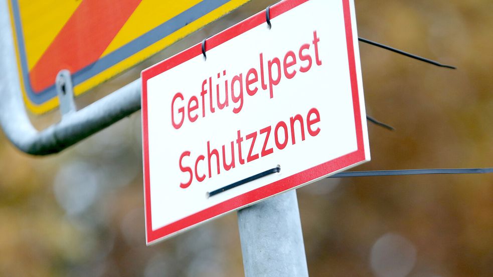 Der Landkreis Osnabrück hat eine Sperrzone eingerichtet. Foto: IMAGO / BildFunkMV