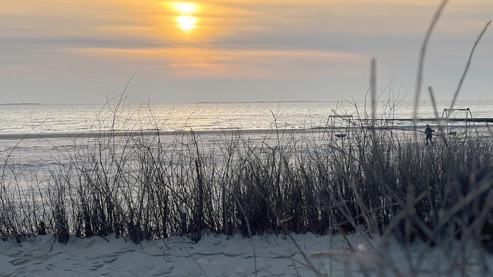 Die Pflanzungen am Südstrand haben den Flugsand reduziert. Foto: Florian Ferber/Archiv