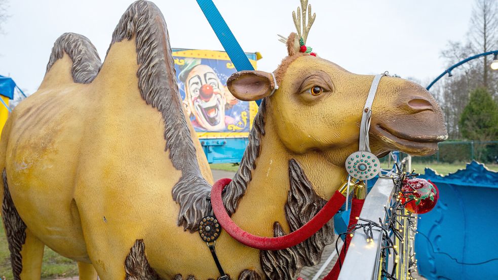Tiere? Sie treten im Weihnachtscircus nur symbolisch auf.
