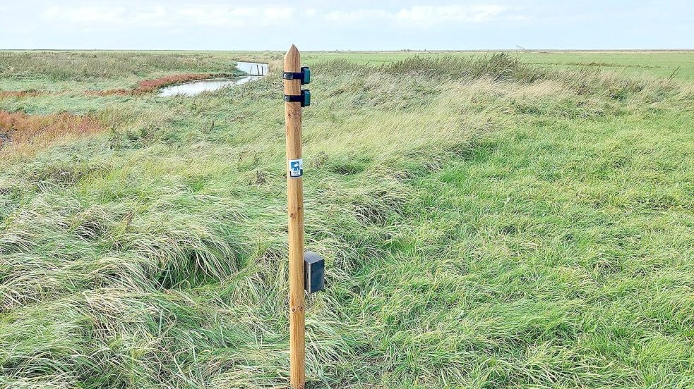 Im Nationalpark Niedersächsisches Wattenmeer zeichnen Kamera- und Audiogeräte biologische Vielfalt und menschliche Störungen auf. Die Auswertung der Daten erfolgt KI-unterstützt und anonymisiert. Foto: Florian Packmor / NLPVW