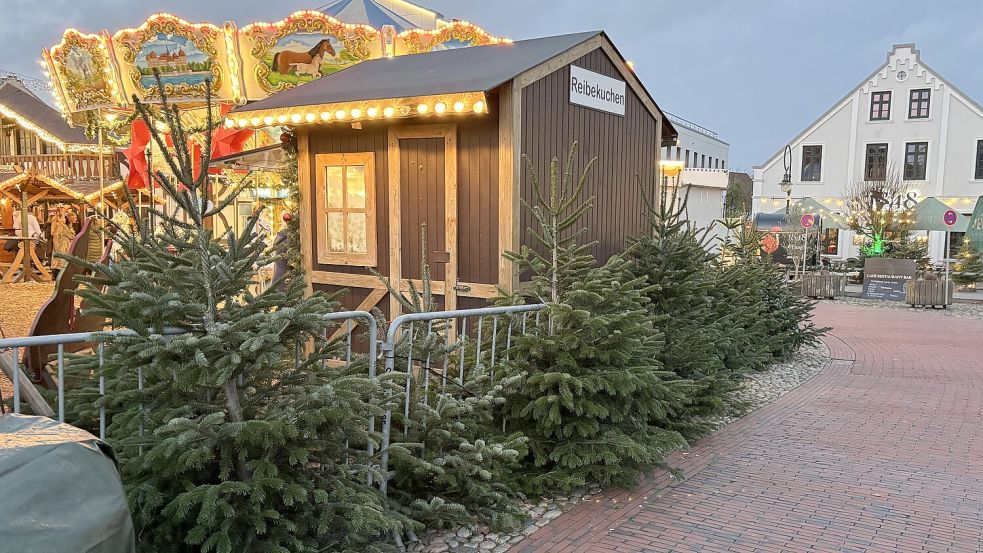 Die Tannenbäume dienen nicht nur in Jever unter anderem als Dekoration entlang der Sperrgitter zur Straße. Foto: Susanne Ullrich