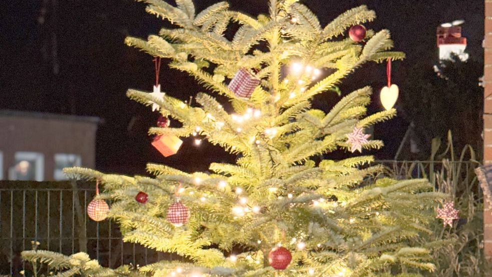 Dieser geschmückte Weihnachtsbaum leuchtet am Borkumer Kindergarten. Foto: Florian Ferber