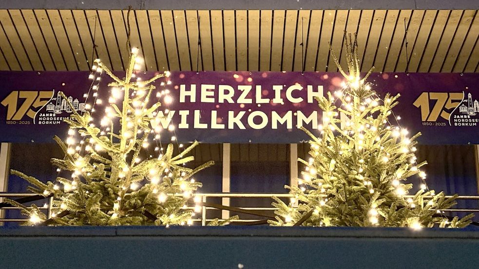 Weihnachtsbäume sind heute keine Seltenheit mehr auf Borkum. Diese beiden stehen an der Kulturinsel. Foto: Florian Ferber