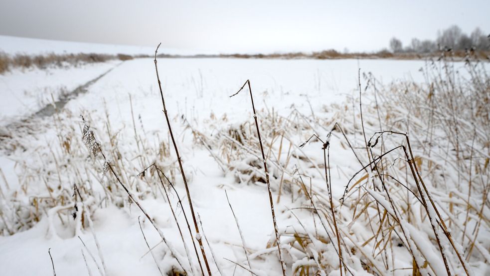 In der Natur hat Schnee viel Schönes. Foto: Klaus Ortgies
