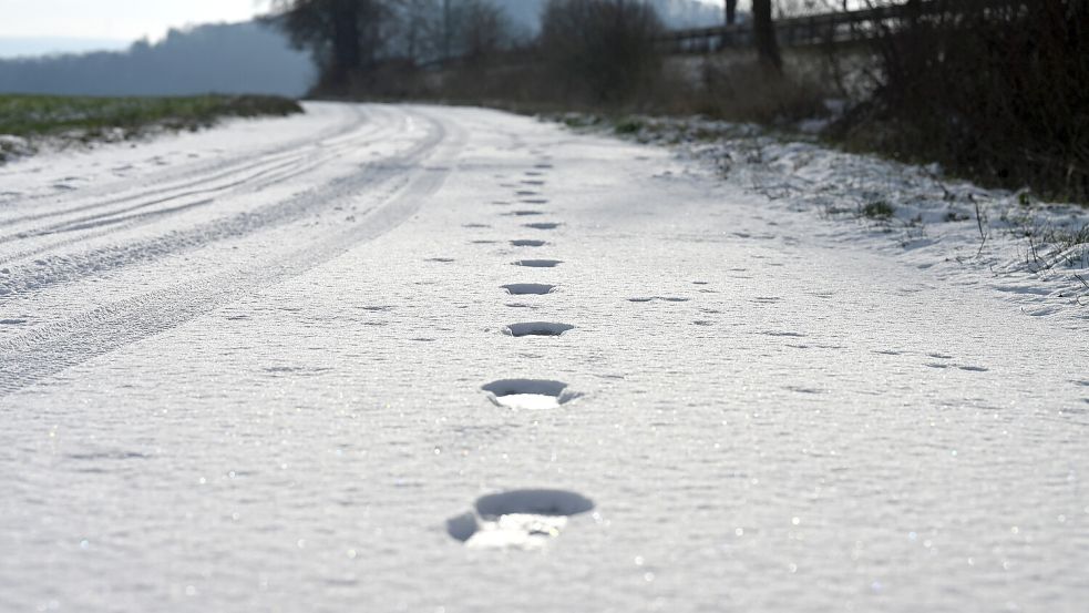 Auf einem Weg sind Fußspuren im Schnee zu sehen. Foto: Michael Brandt/dpa