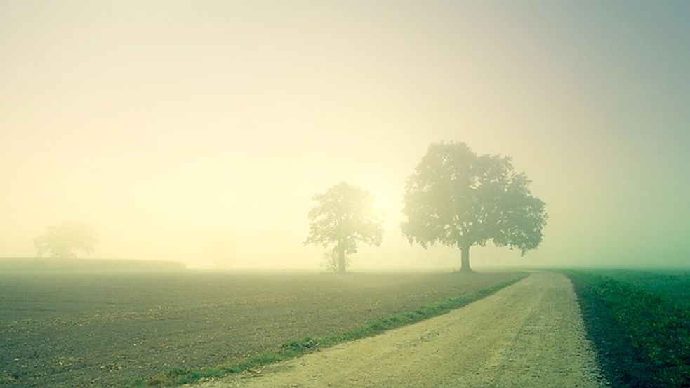 Am Sonntag überwiegt neblig-trübes Wetter. Symbolfoto: pixabay