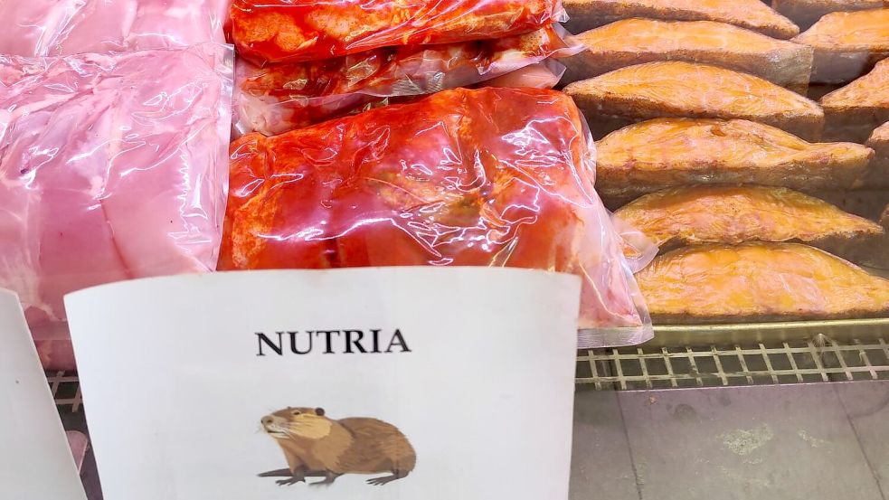 In den Niederlanden wird Nutria-Fleisch sogar in Fischläden angeboten. Foto: Manfred Hochmann