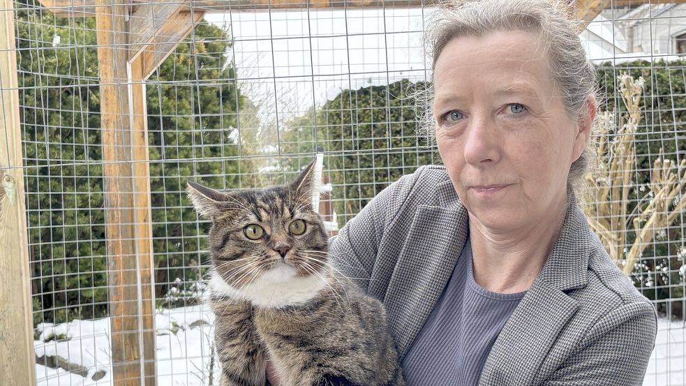 Eigentlich ist Kater Eilers ein Freigänger. Seit so viele Katzen in der Nachbarschaft verschwunden sind, darf er nicht mehr raus. Darunter leider seine Laune. Halterin Regina Ruhnau bekommt dies manchmal zu spüren. Foto: Susanne Ullrich