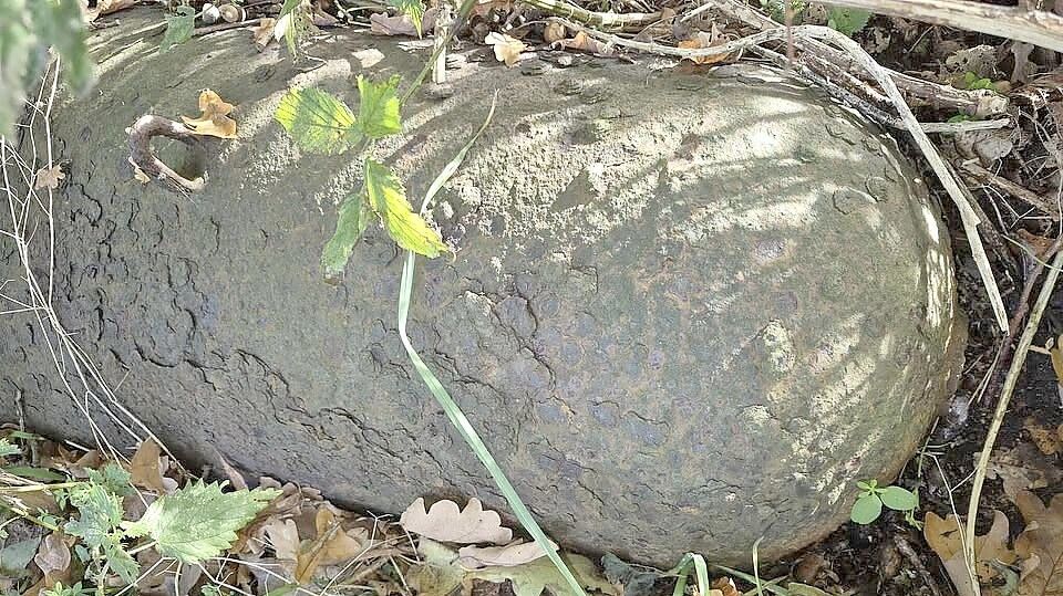 Eine britische Brandbombe aus dem Zweiten Weltkrieg fand Johann Berghaus in Hesel. Foto: privat