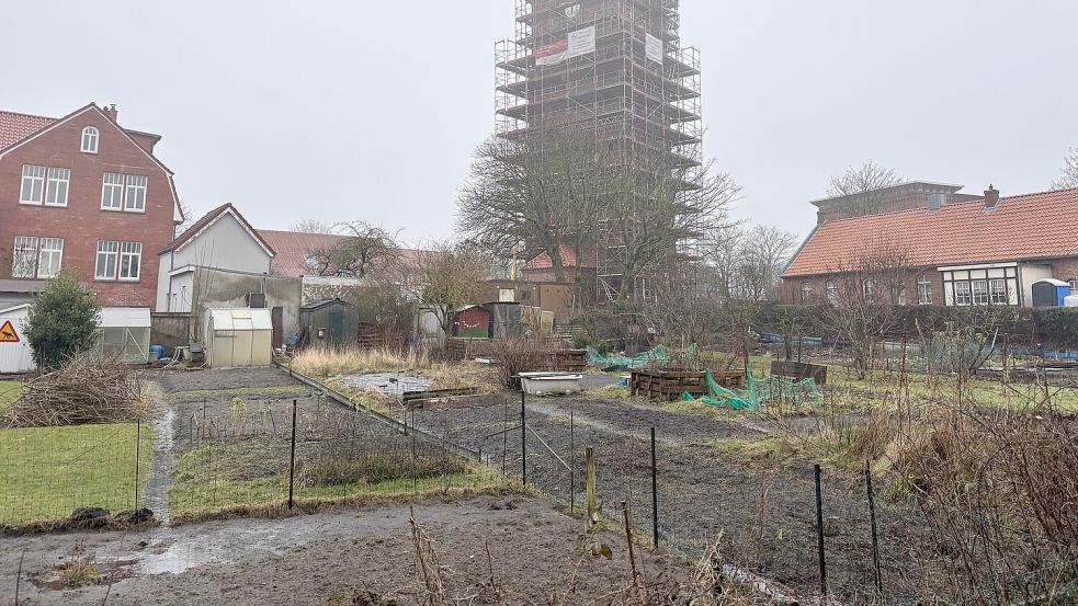In der Gartenkolonie am Alten Leuchtturm befindet sich der Schulgarten der Grundschule. Foto: Florian Ferber