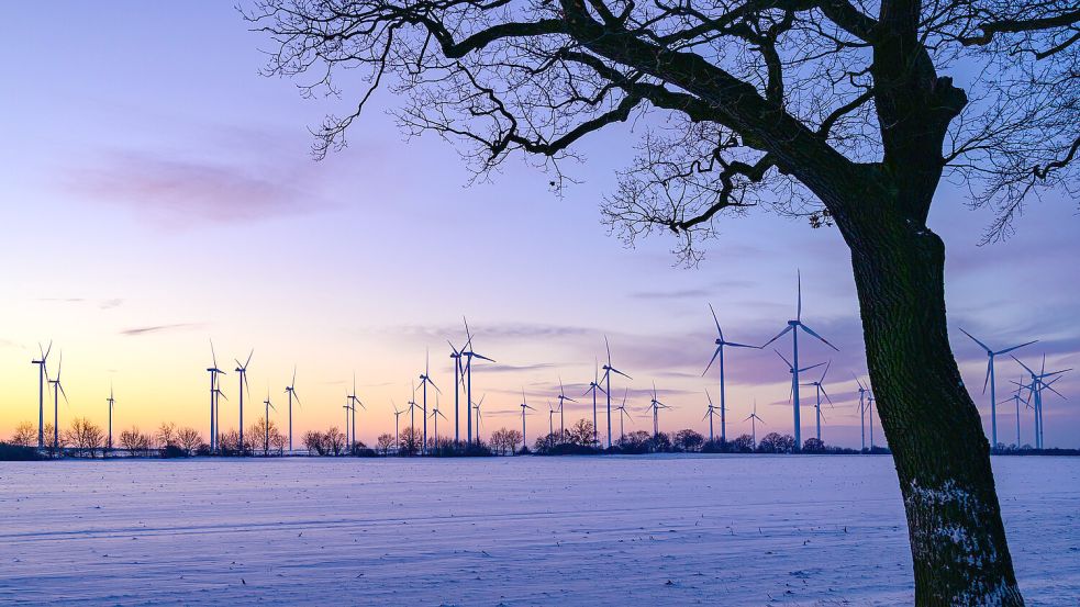 Hinter der neuen Enova-Strategie „Hyper 2030“ steckt ein knallharter Wachstumsplan. Foto: Patrick Pleul/dpa