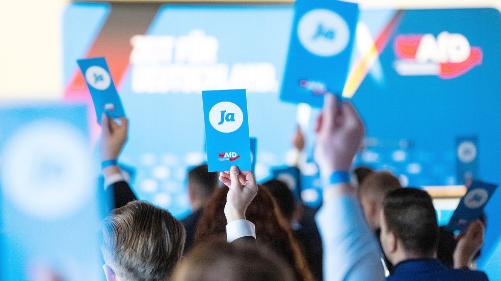 Rund 150 Teilnehmer werden zur Gründung der neuen AfD-Jugend erwartet. DPA-Symbolfoto: Christophe Gateau